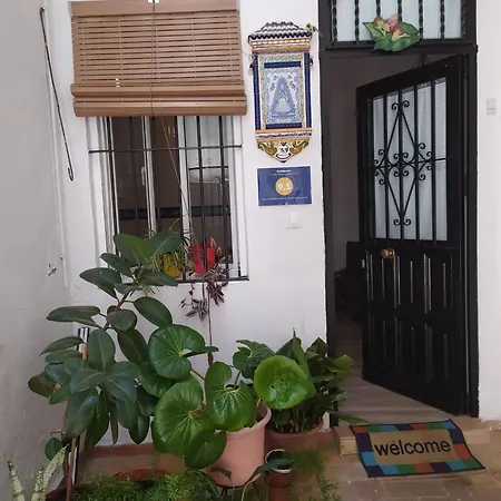 Apartamento Ideal Tipo Loft En Triana Wifi *